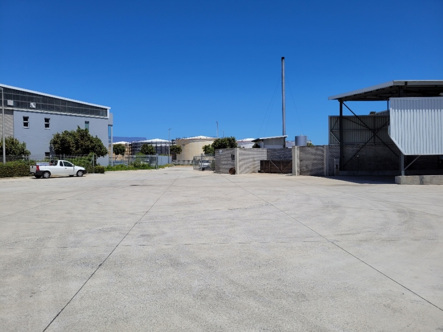 To Let commercial Property for Rent in Montague Gardens Western Cape